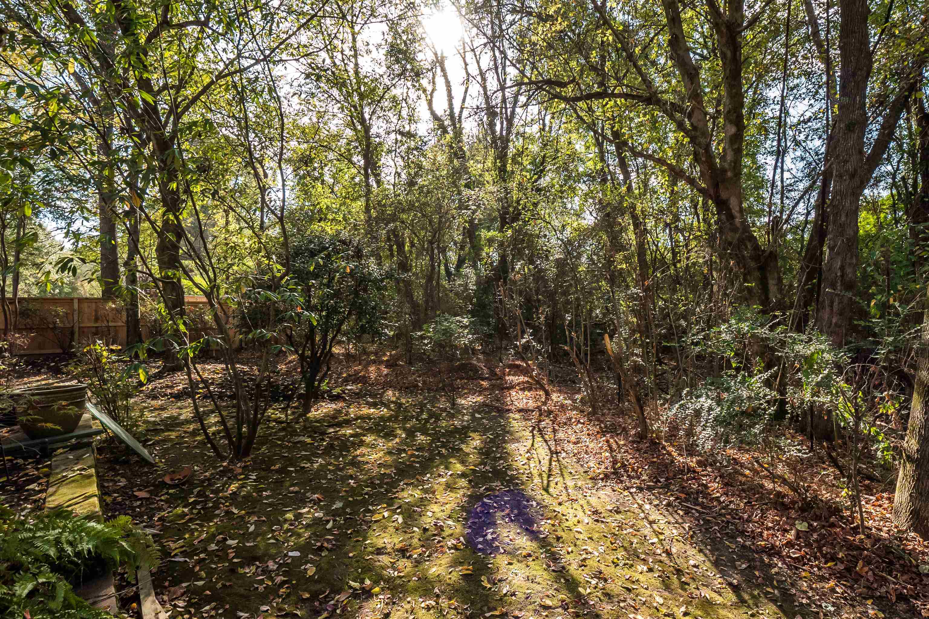 2223 BEAU RIDGE CV