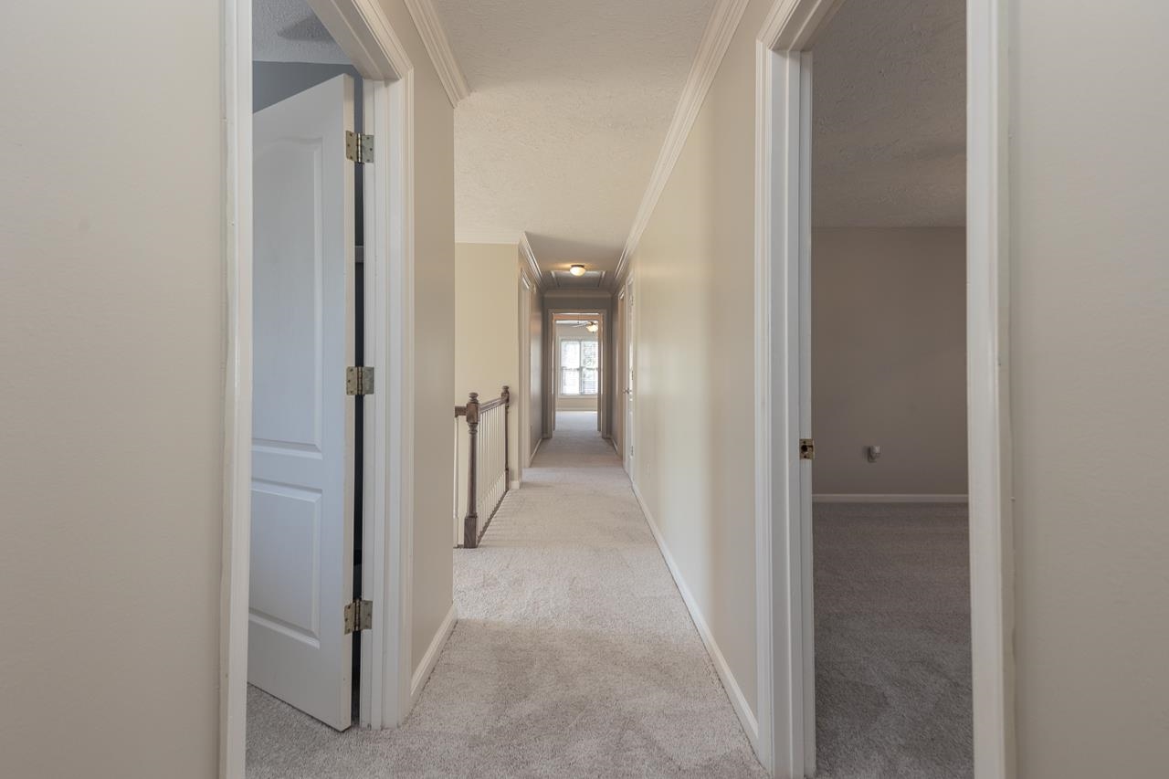 1223 ELM SPRINGS DR