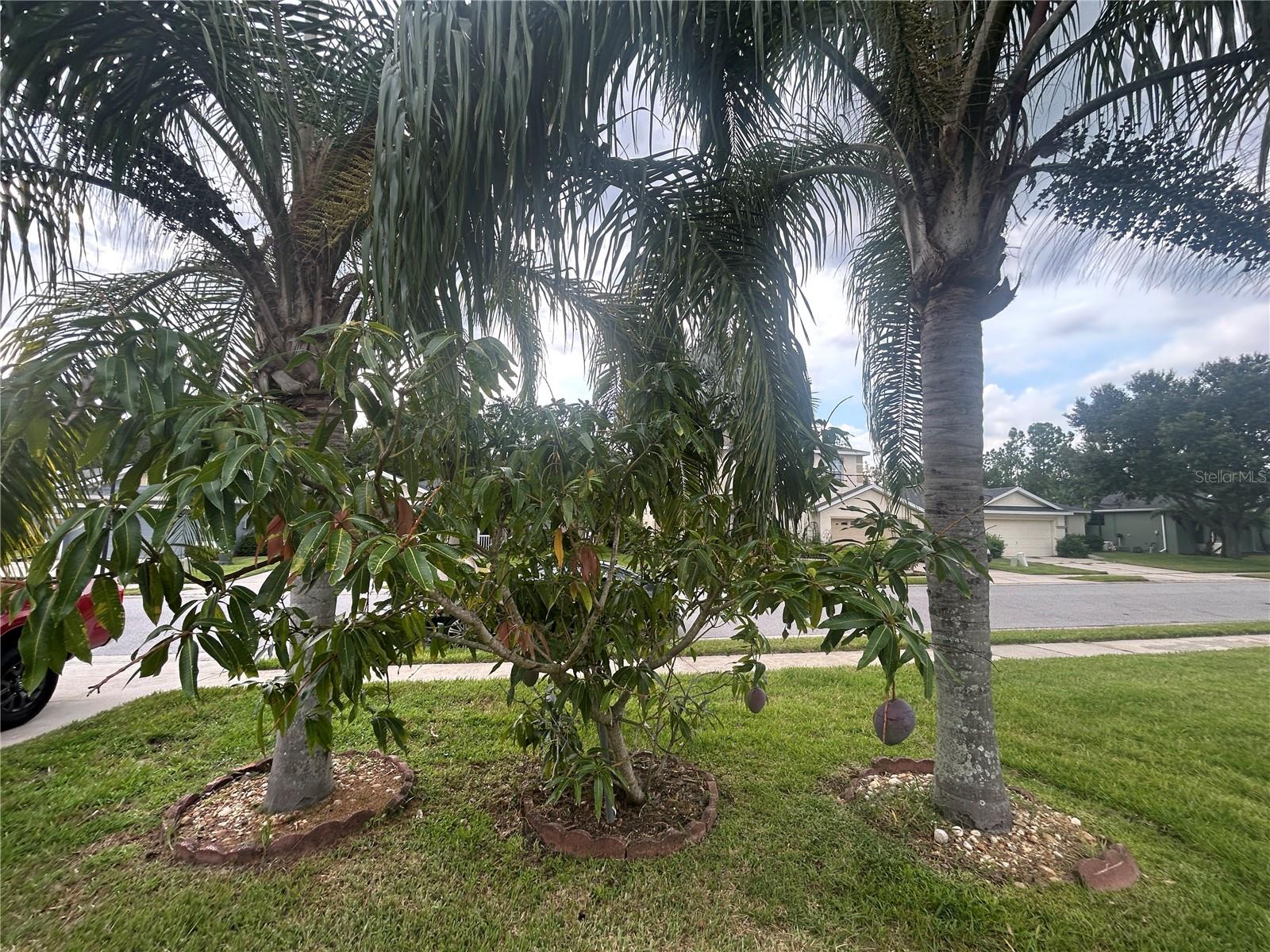 3999 WHISTLEWOOD CIR