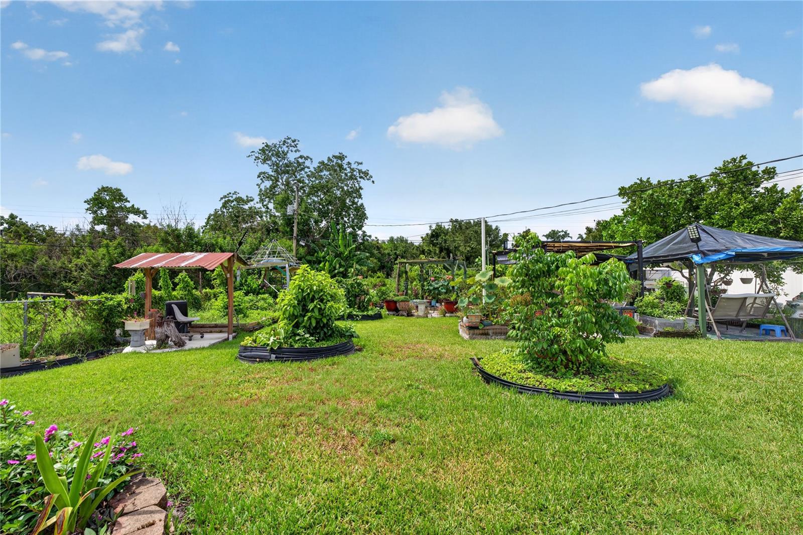 2558 MCINTOSH DR