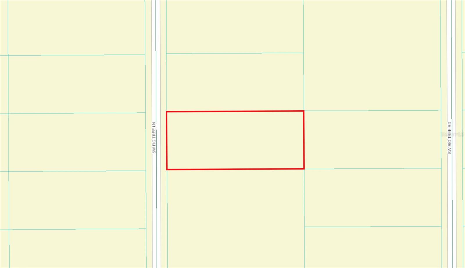 FIG TREE LN