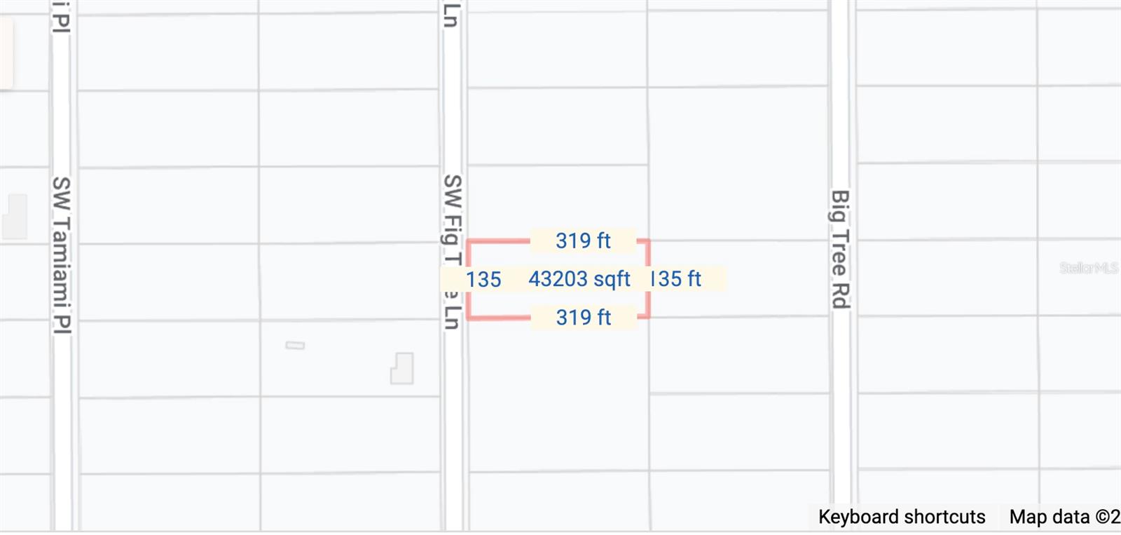 FIG TREE LN