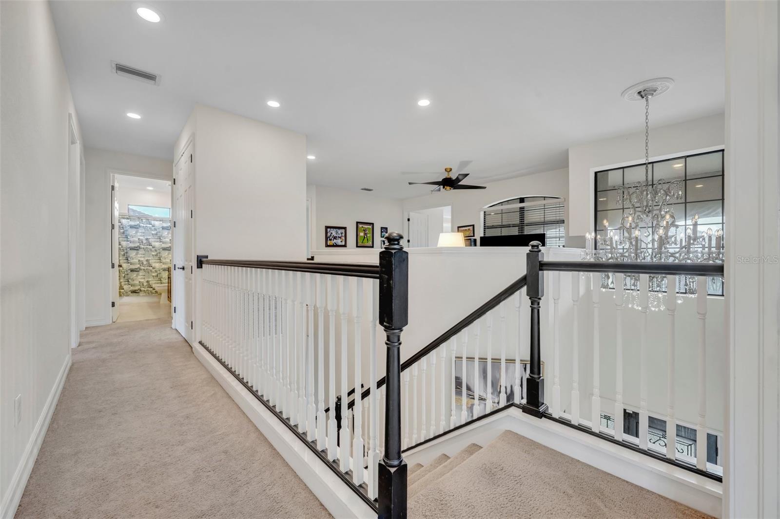 5531 ARNIE LOOP