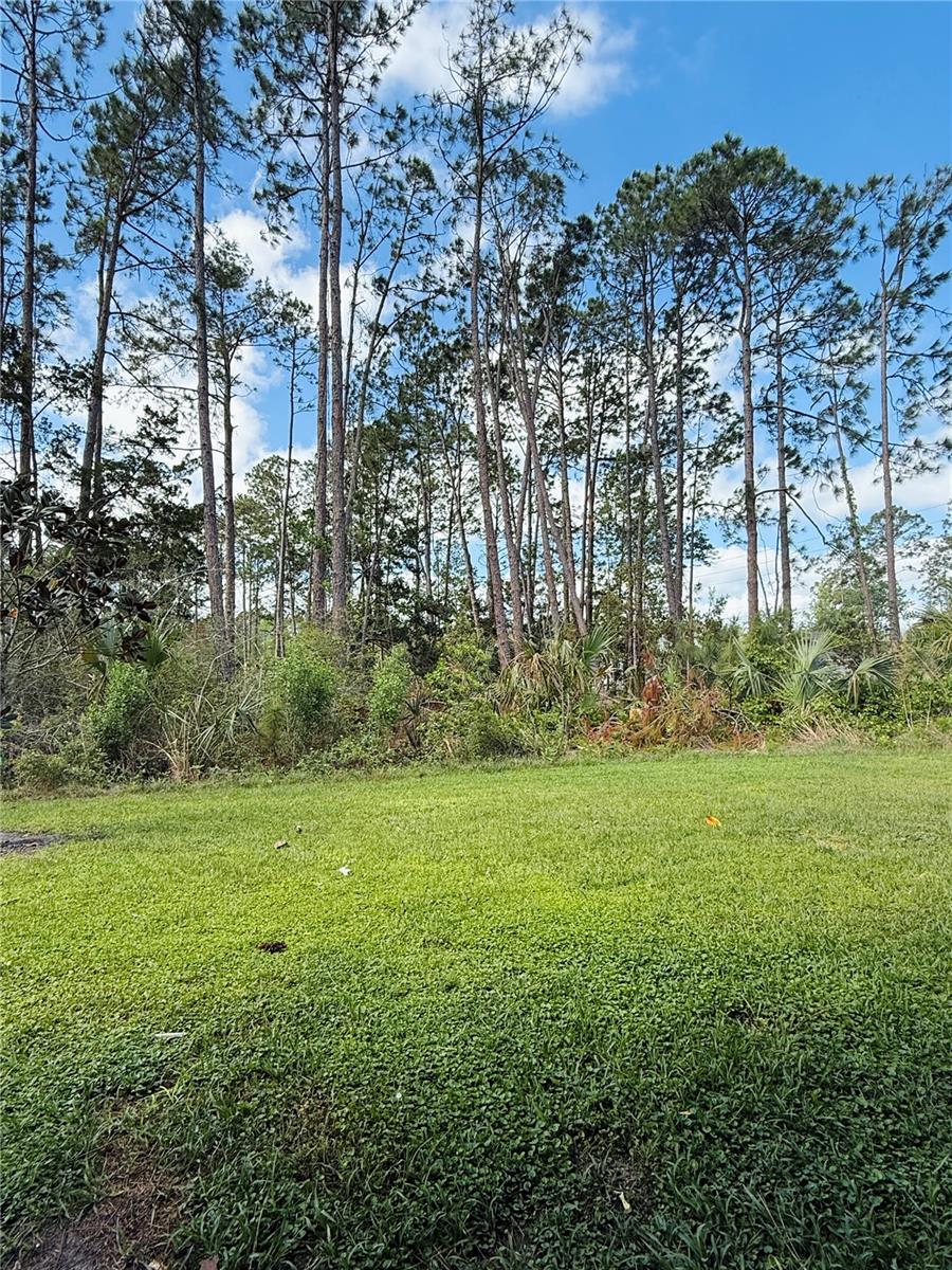 2 RYAPPLE LN #A and B