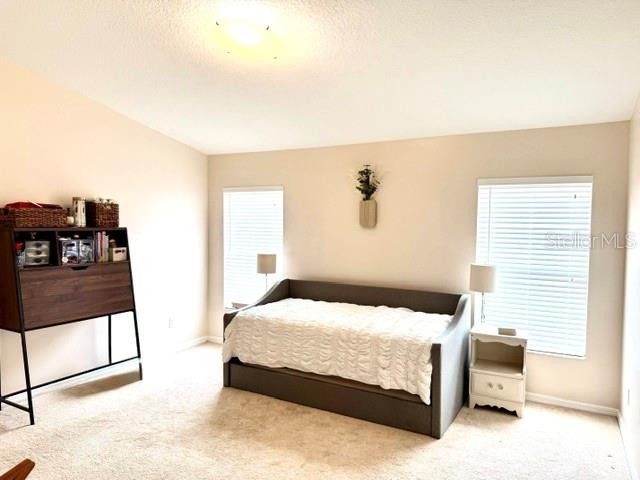 11438 ARBORSIDE BEND WAY