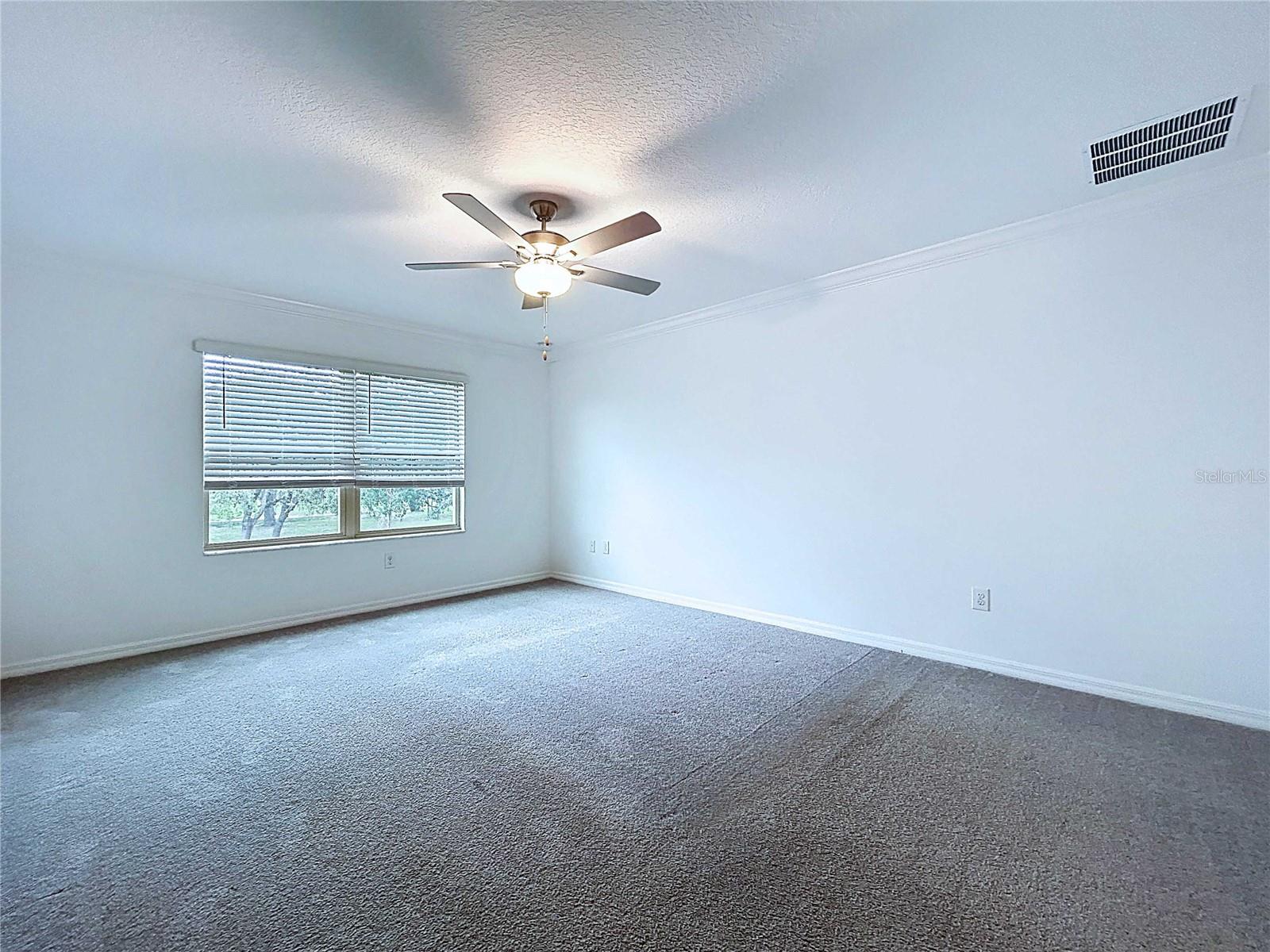 30729 VERIDIAN WAY