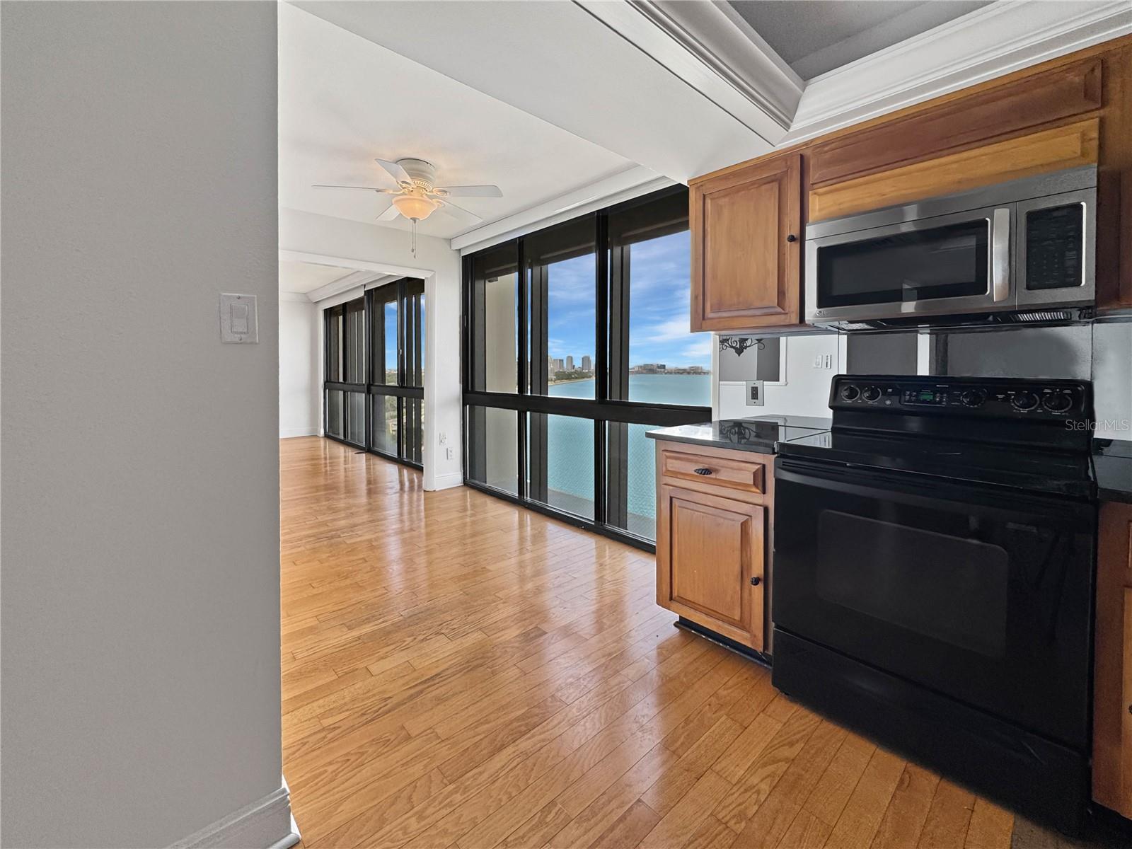 3301 BAYSHORE BLVD #1705C