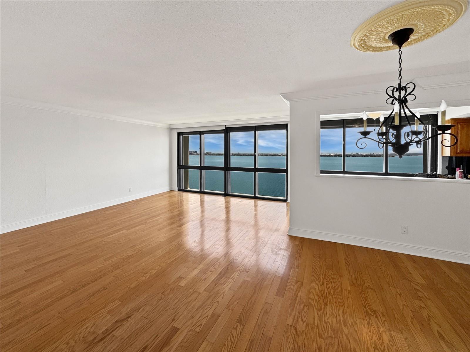 3301 BAYSHORE BLVD #1705C