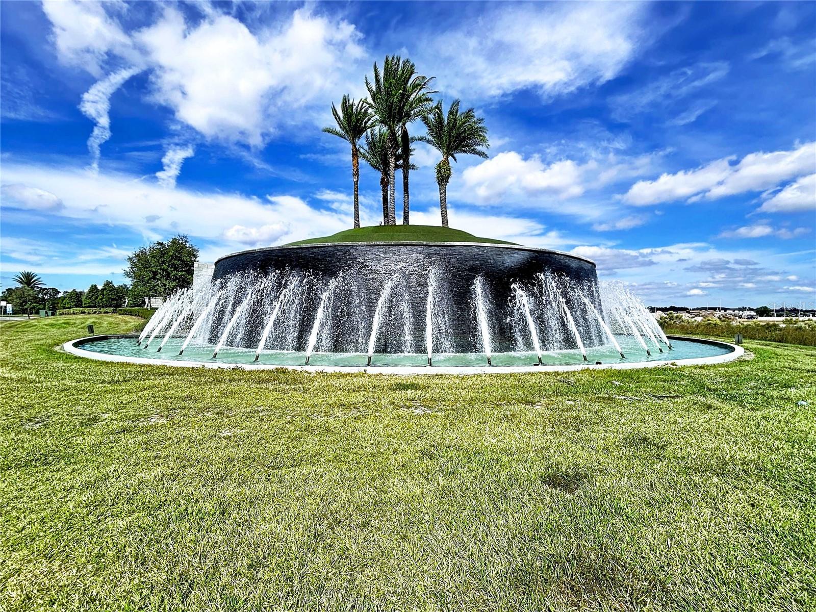 31130 MANGO FADE WAY