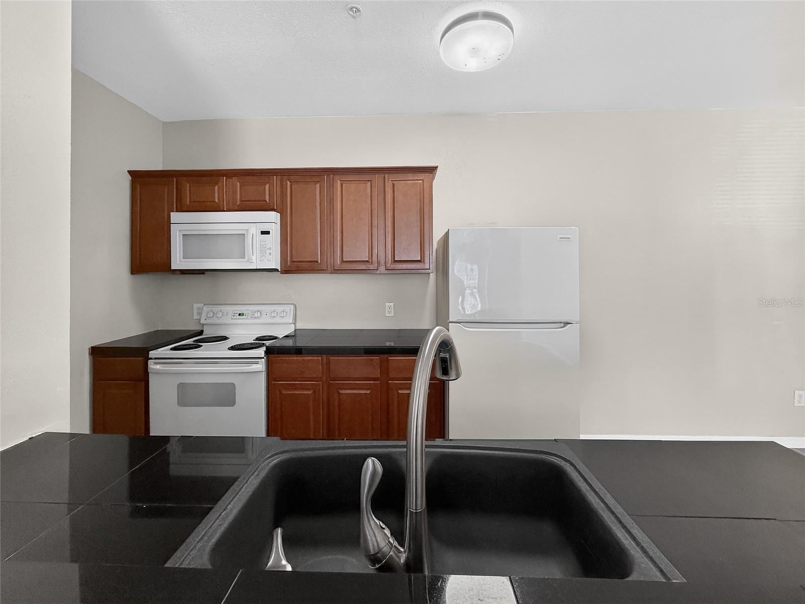 16305 ENCLAVE VILLAGE DR #102