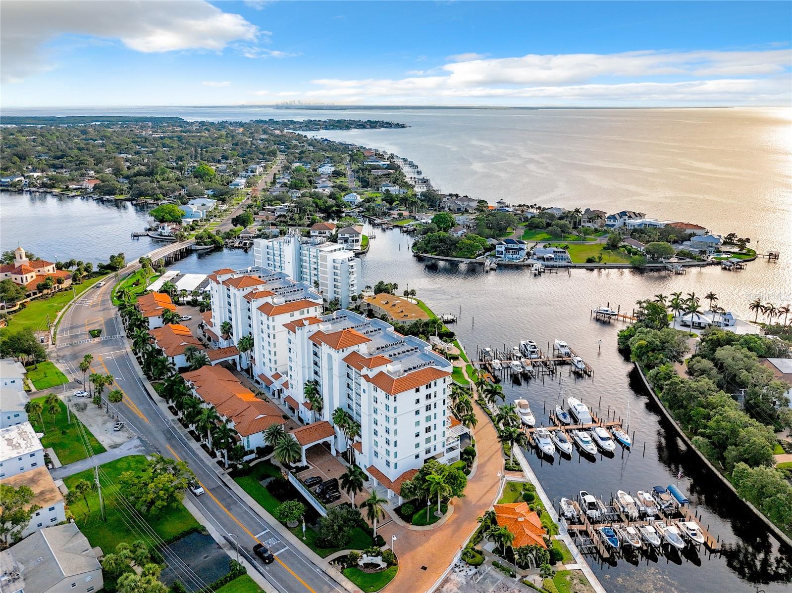 1325 SNELL ISLE BLVD NE #802