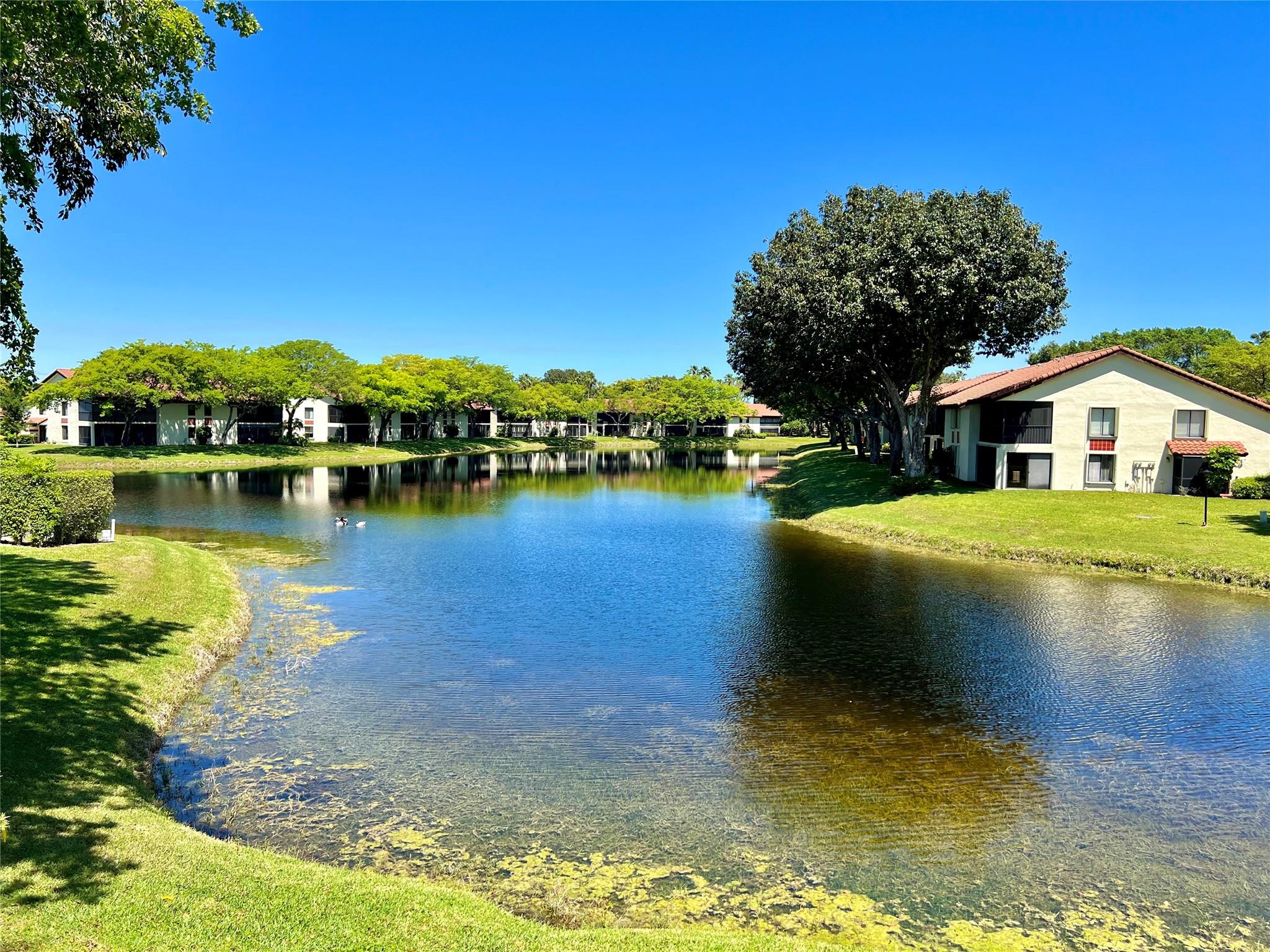 10726 Beach Palm Ct A