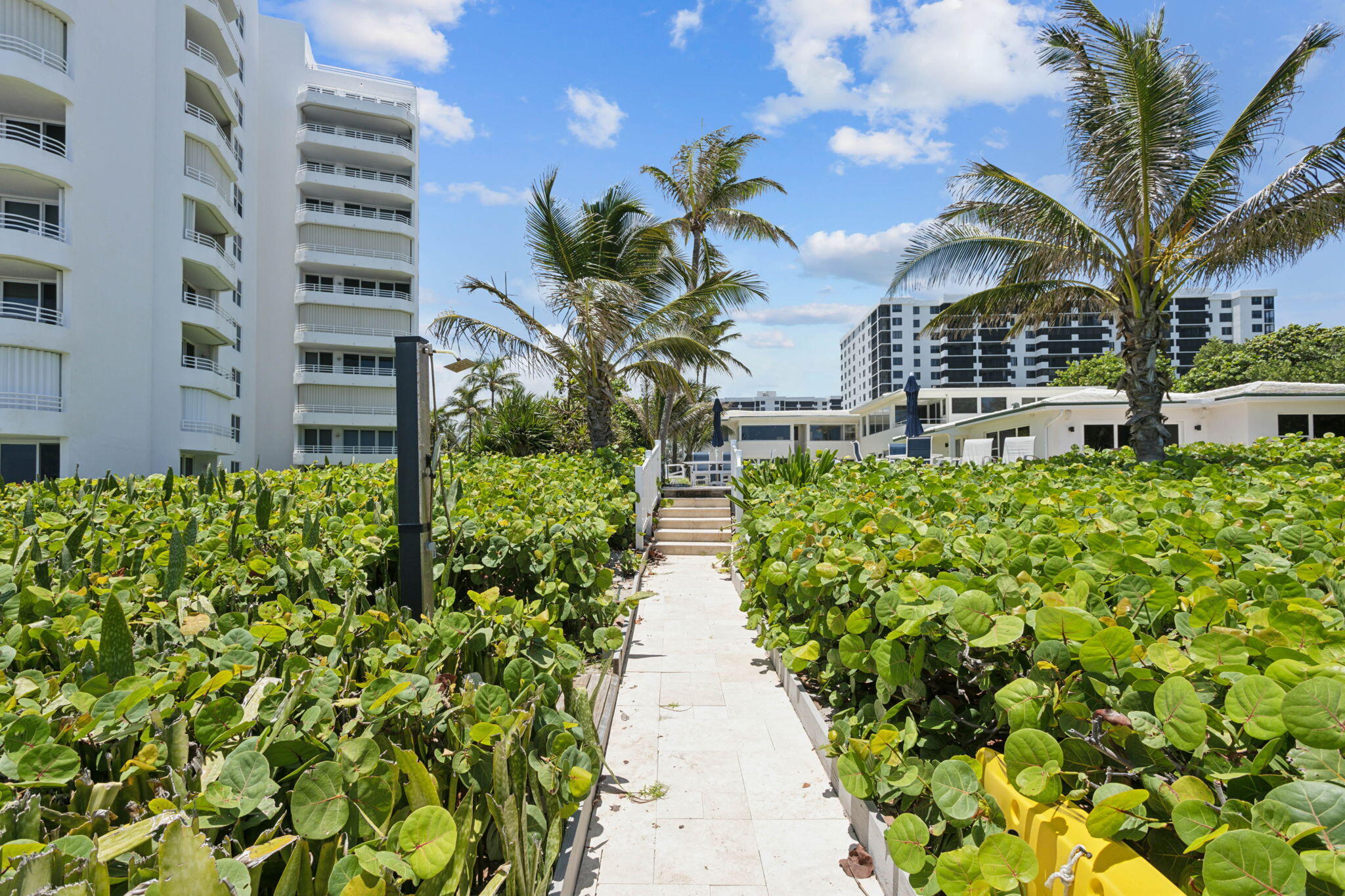 3401 S Ocean Boulevard 6