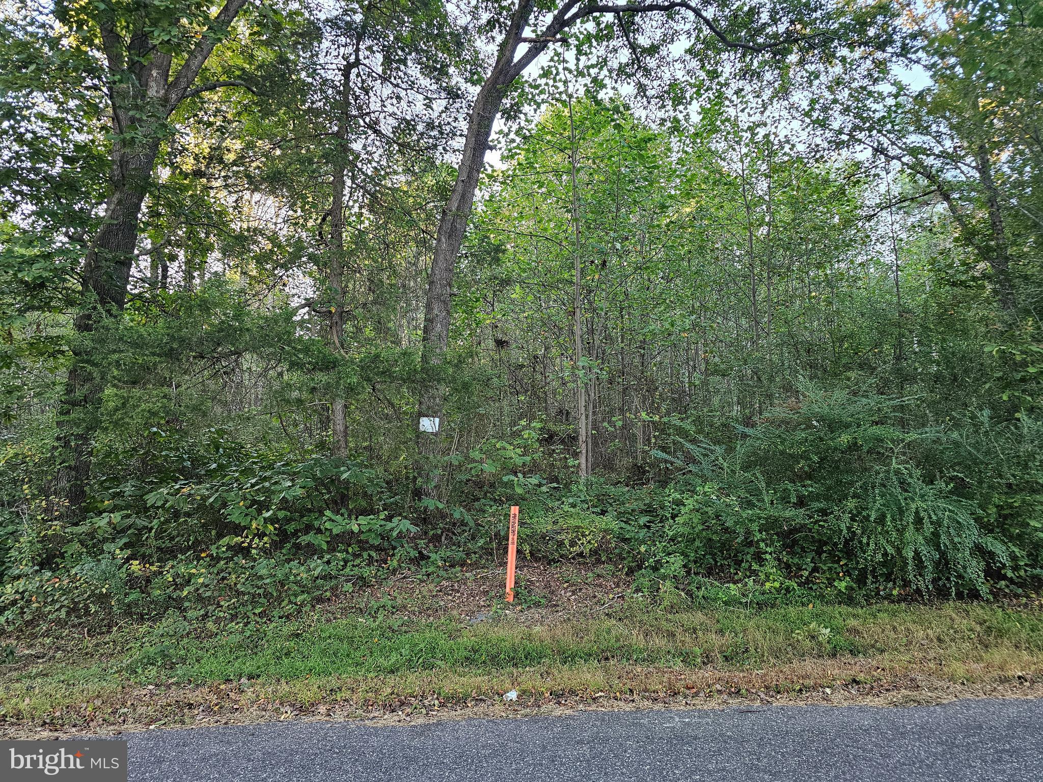Lot 52 Lowe Dr
