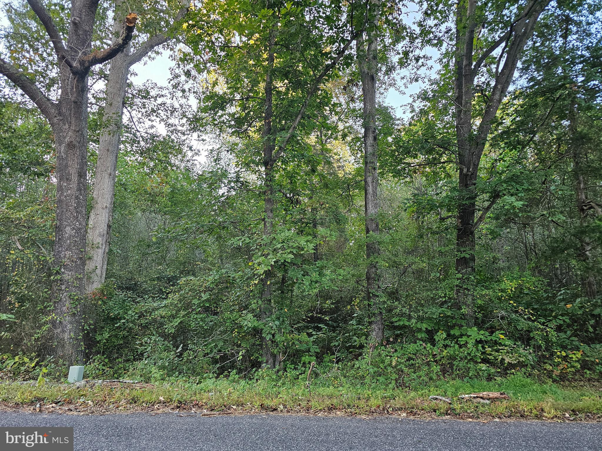 Lot 52 Lowe Dr