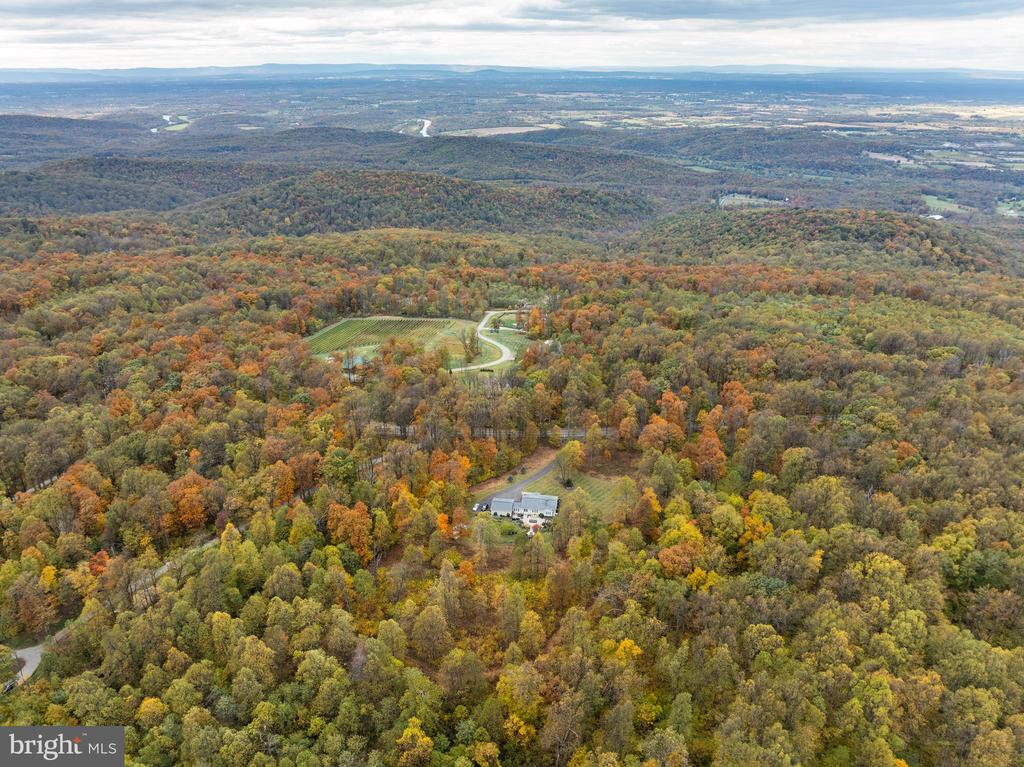19488 BLUERIDGE MOUNTAIN ROAD