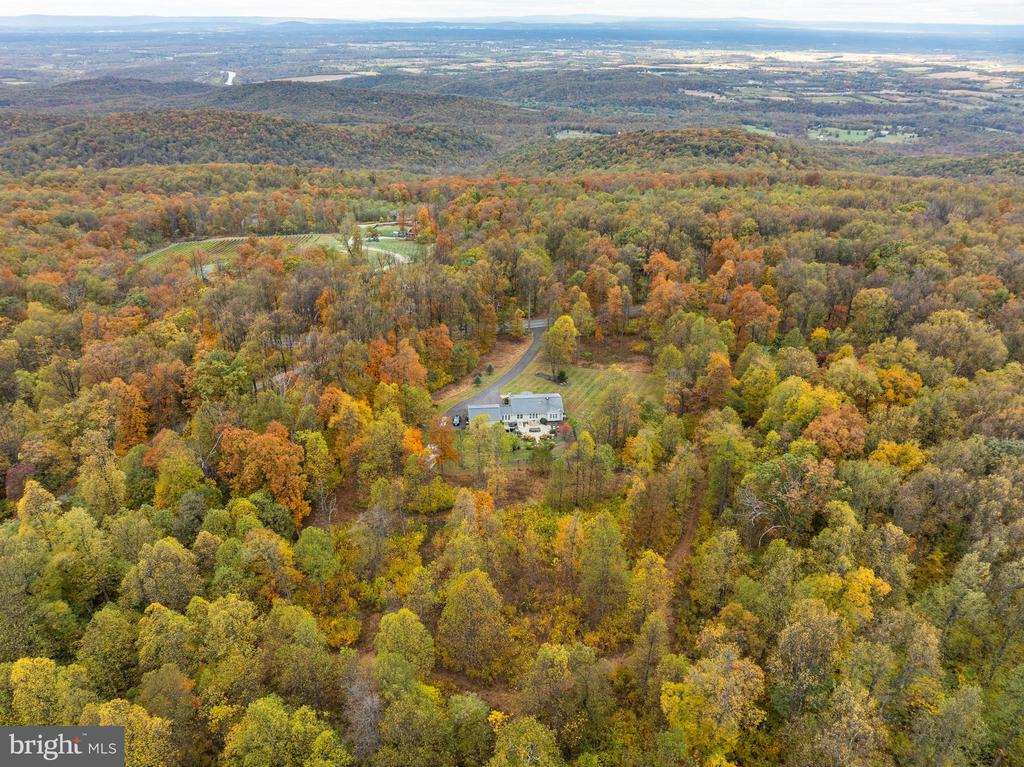 19488 BLUERIDGE MOUNTAIN ROAD
