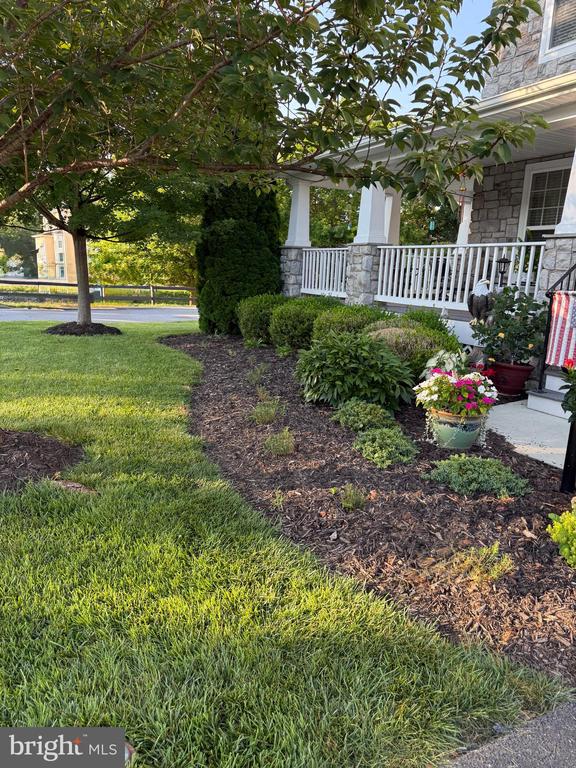 113 ROSEVILLE COURT