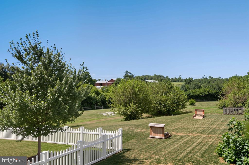 113 ROSEVILLE COURT