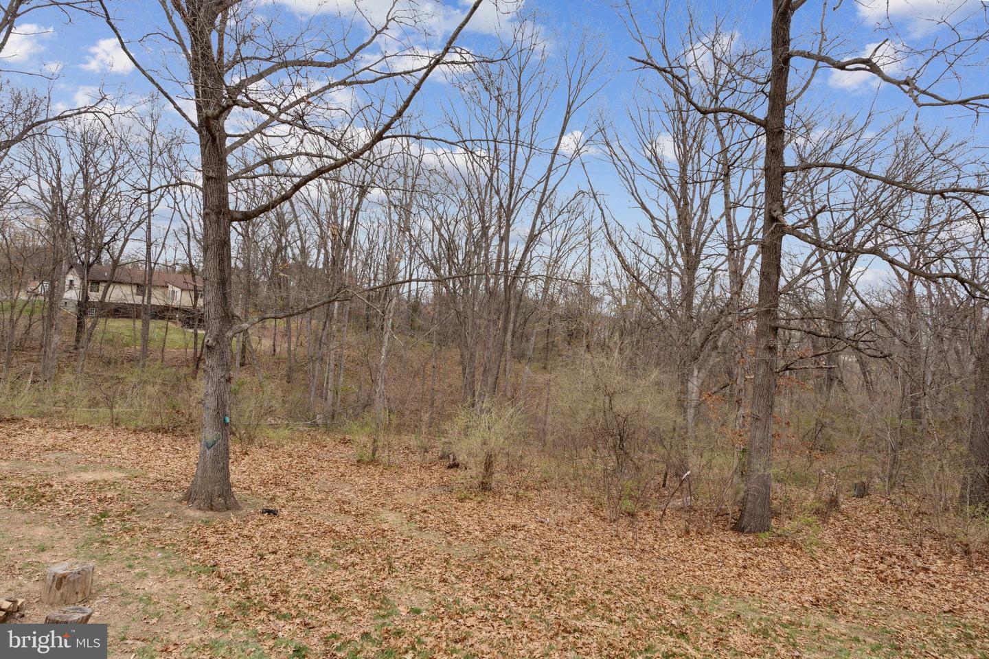 3341 Millwood Pike