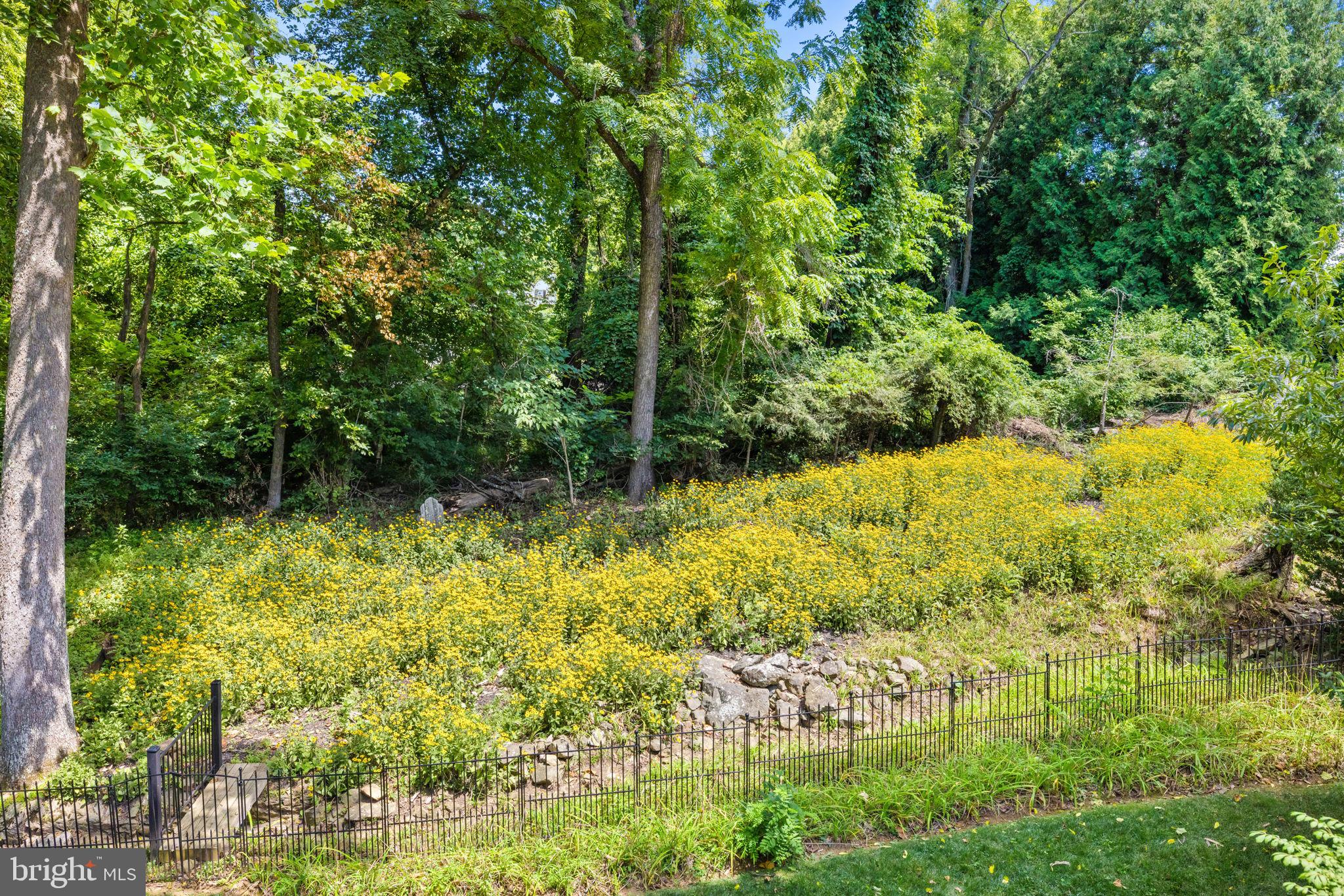38882 Mount Gilead Rd