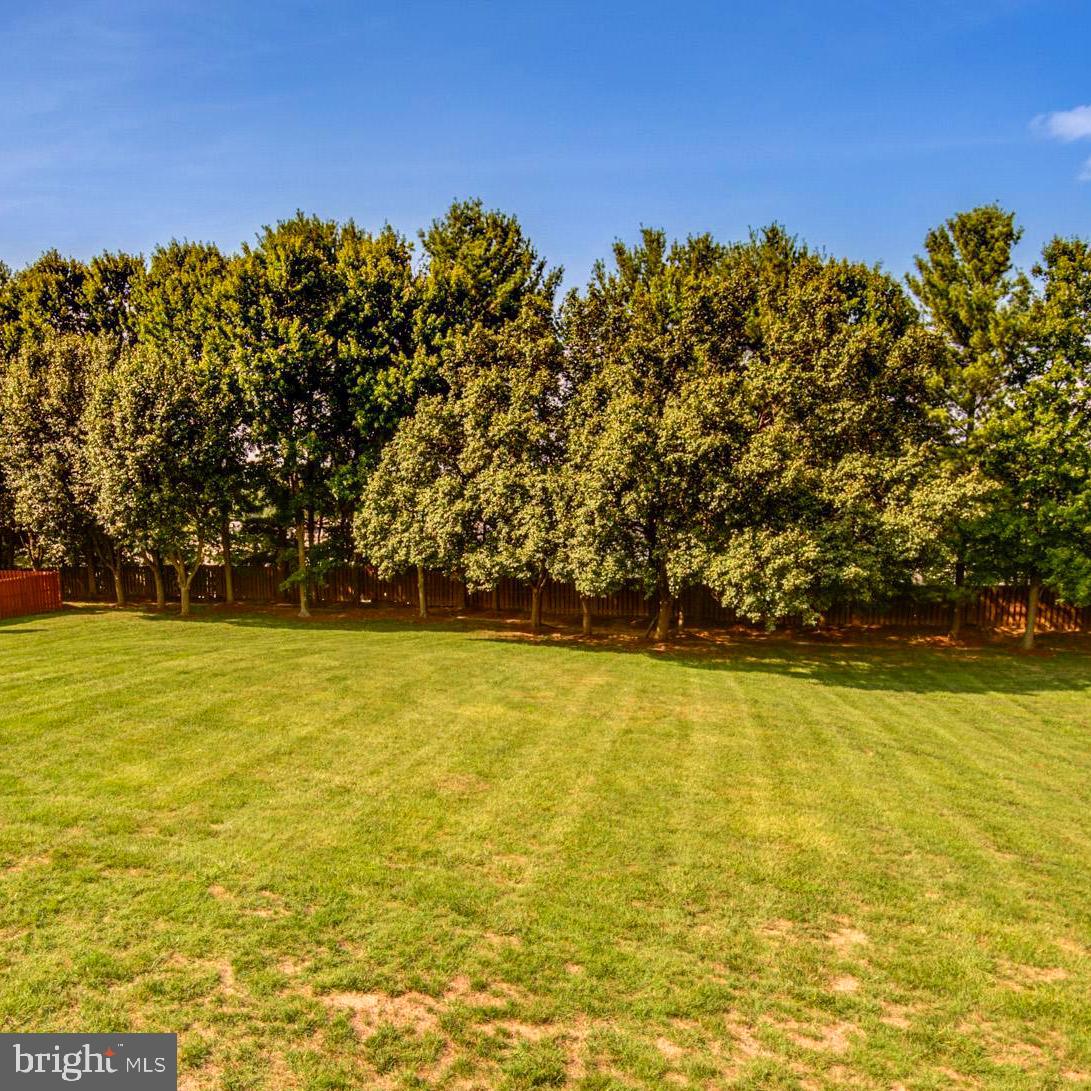 413 McDaniel Dr