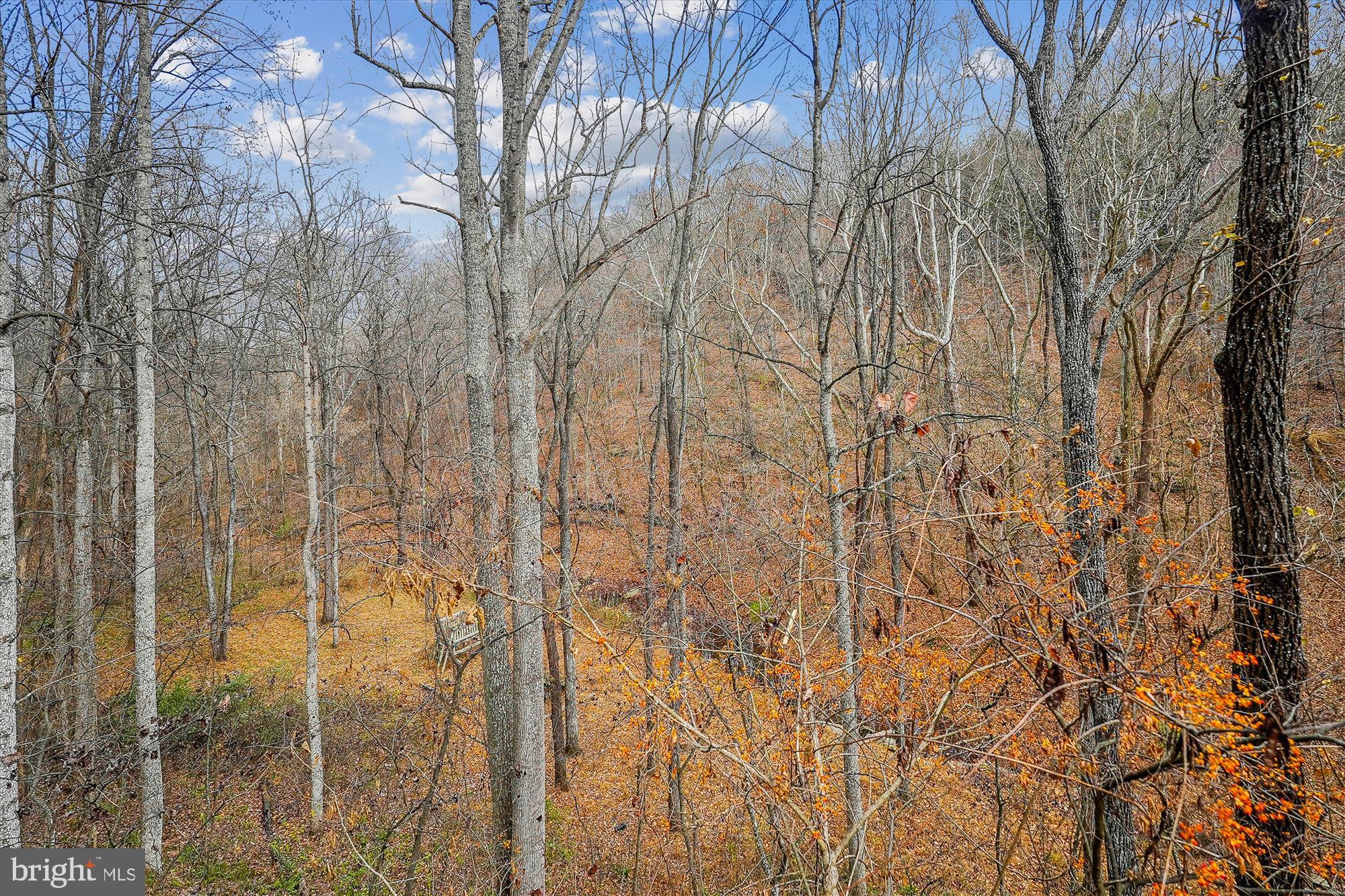 40106 Quarter Branch Rd