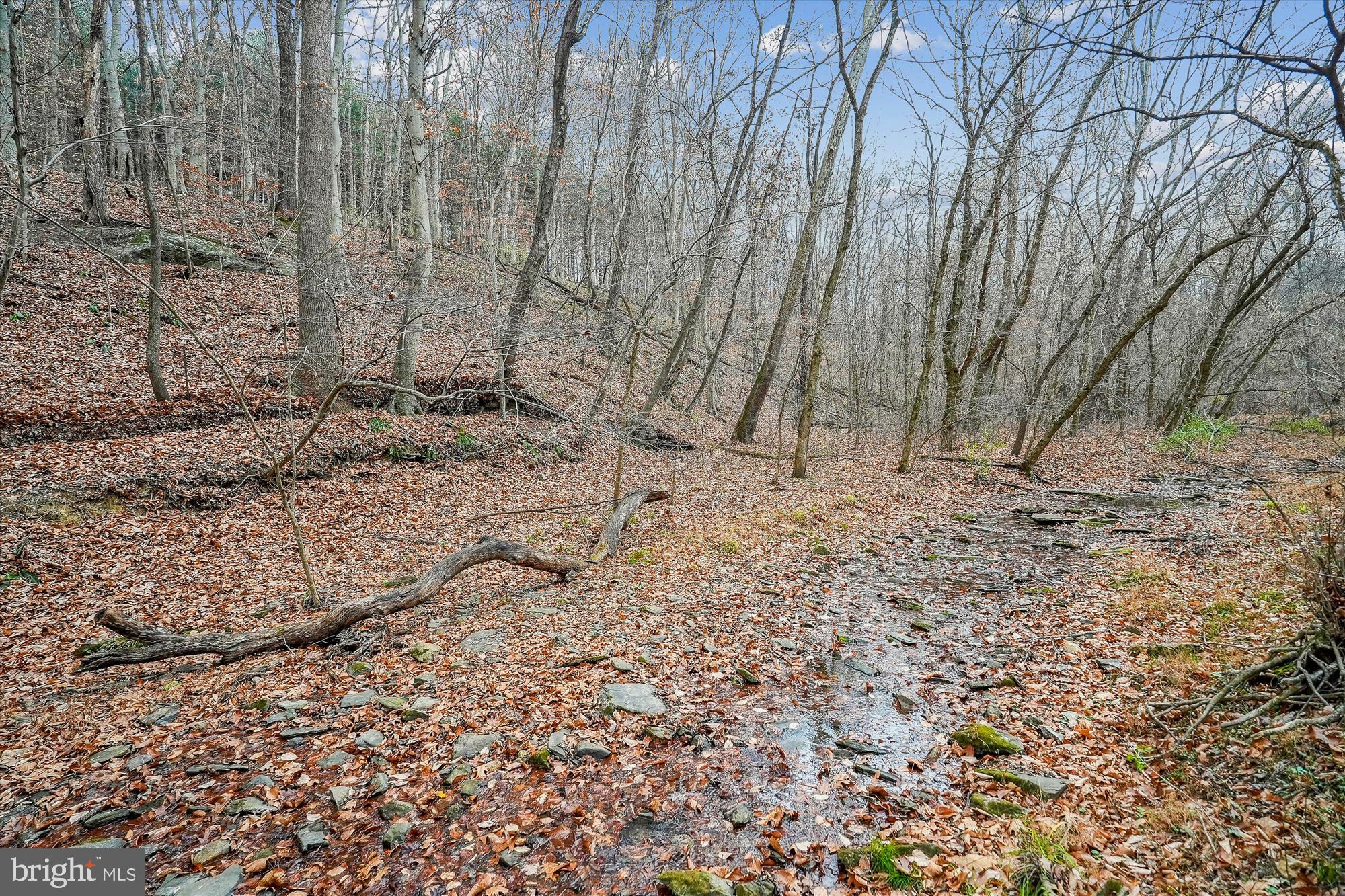 40106 Quarter Branch Rd
