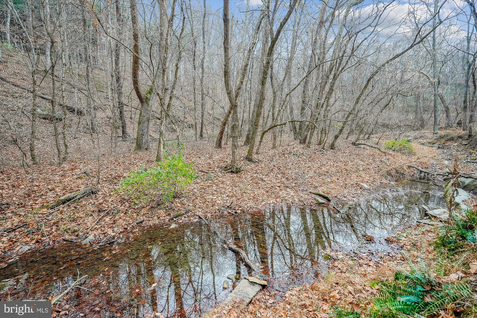 40106 Quarter Branch Rd