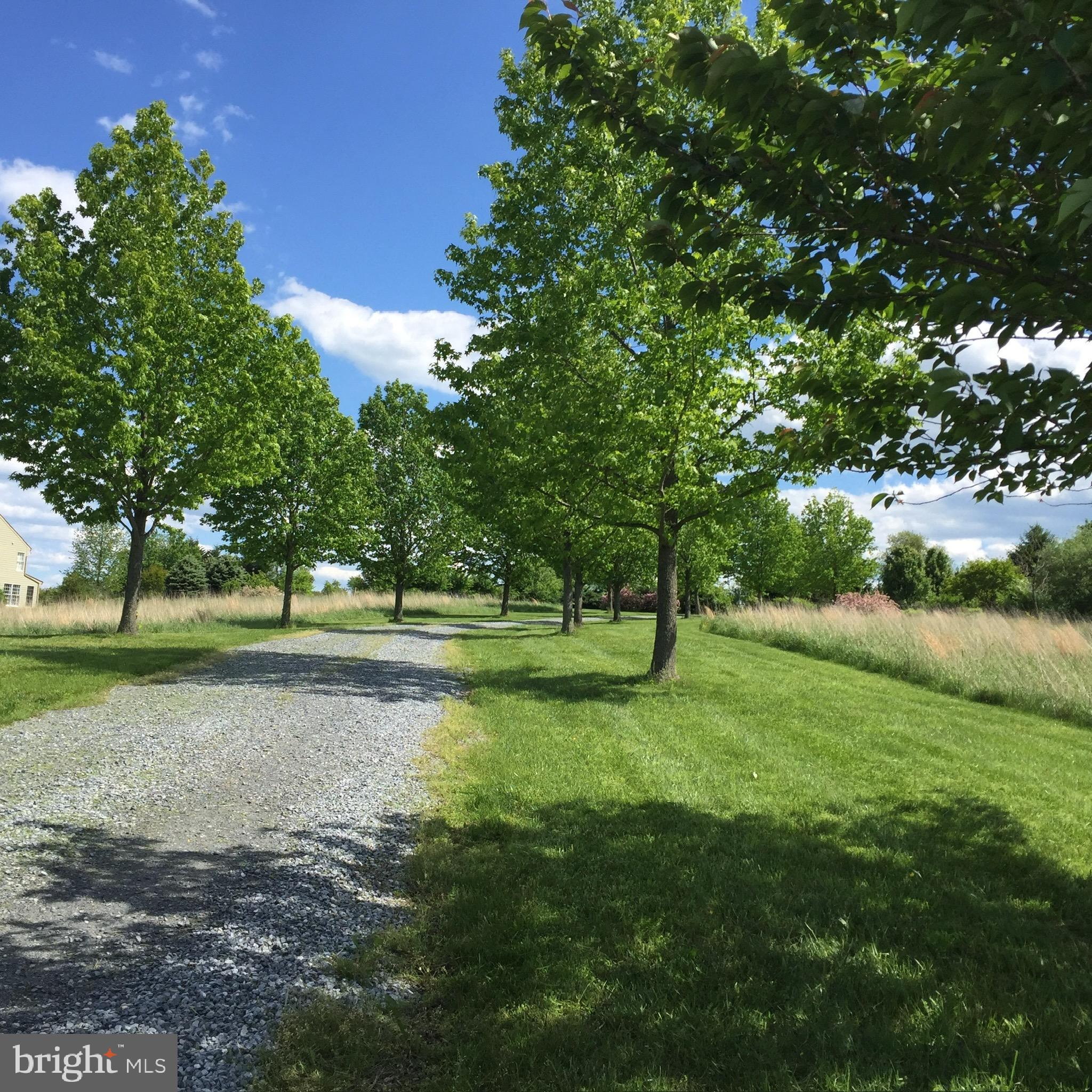 14387 Richards Run