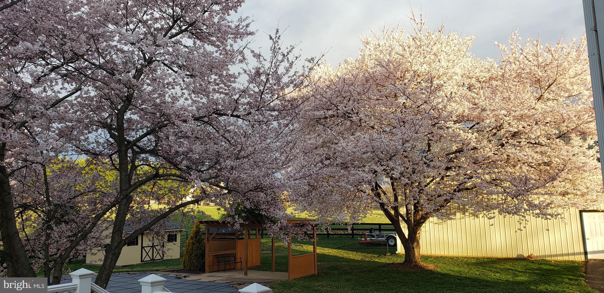 38607 MILLSTONE DRIVE