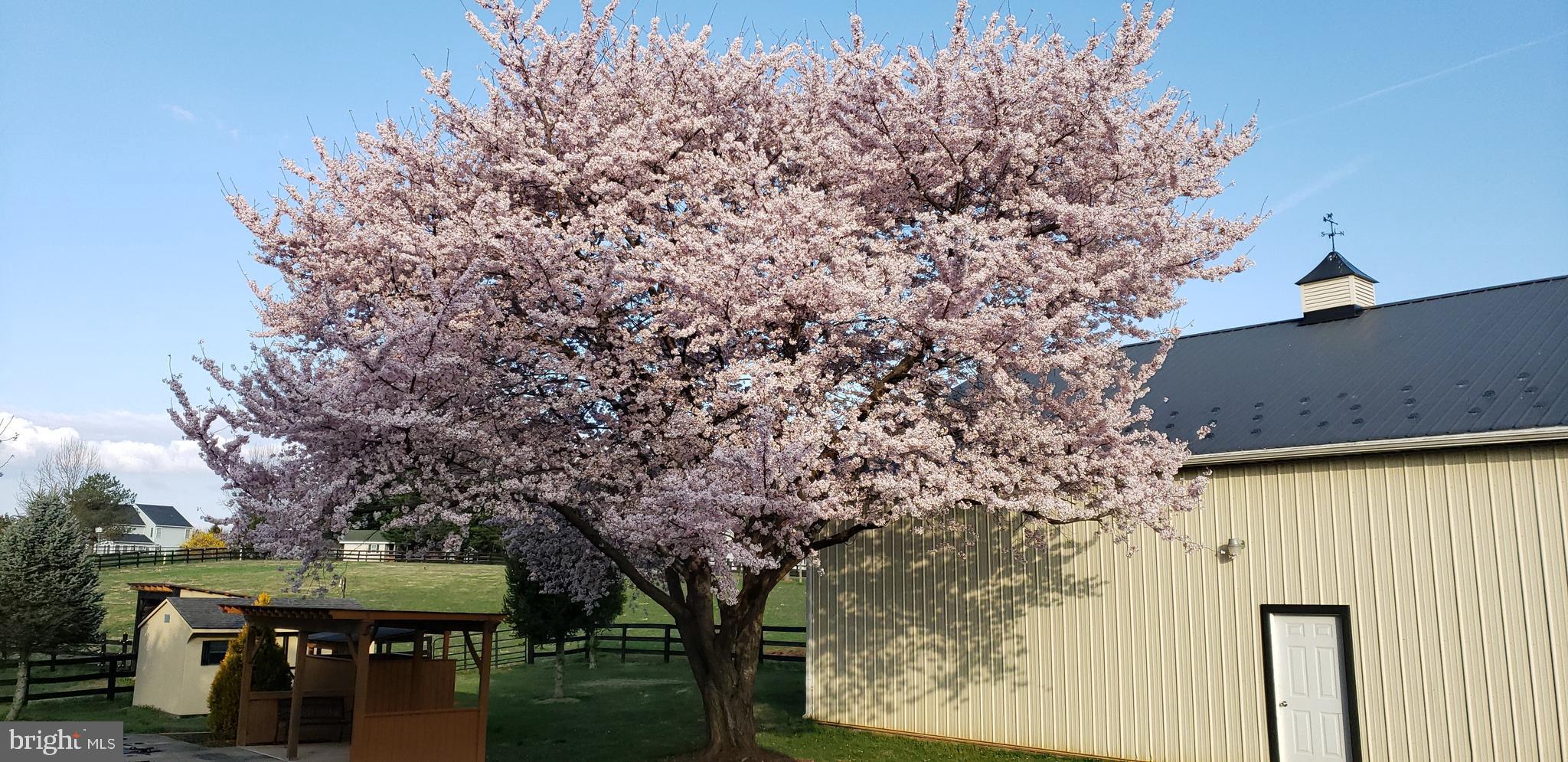 38607 MILLSTONE DRIVE