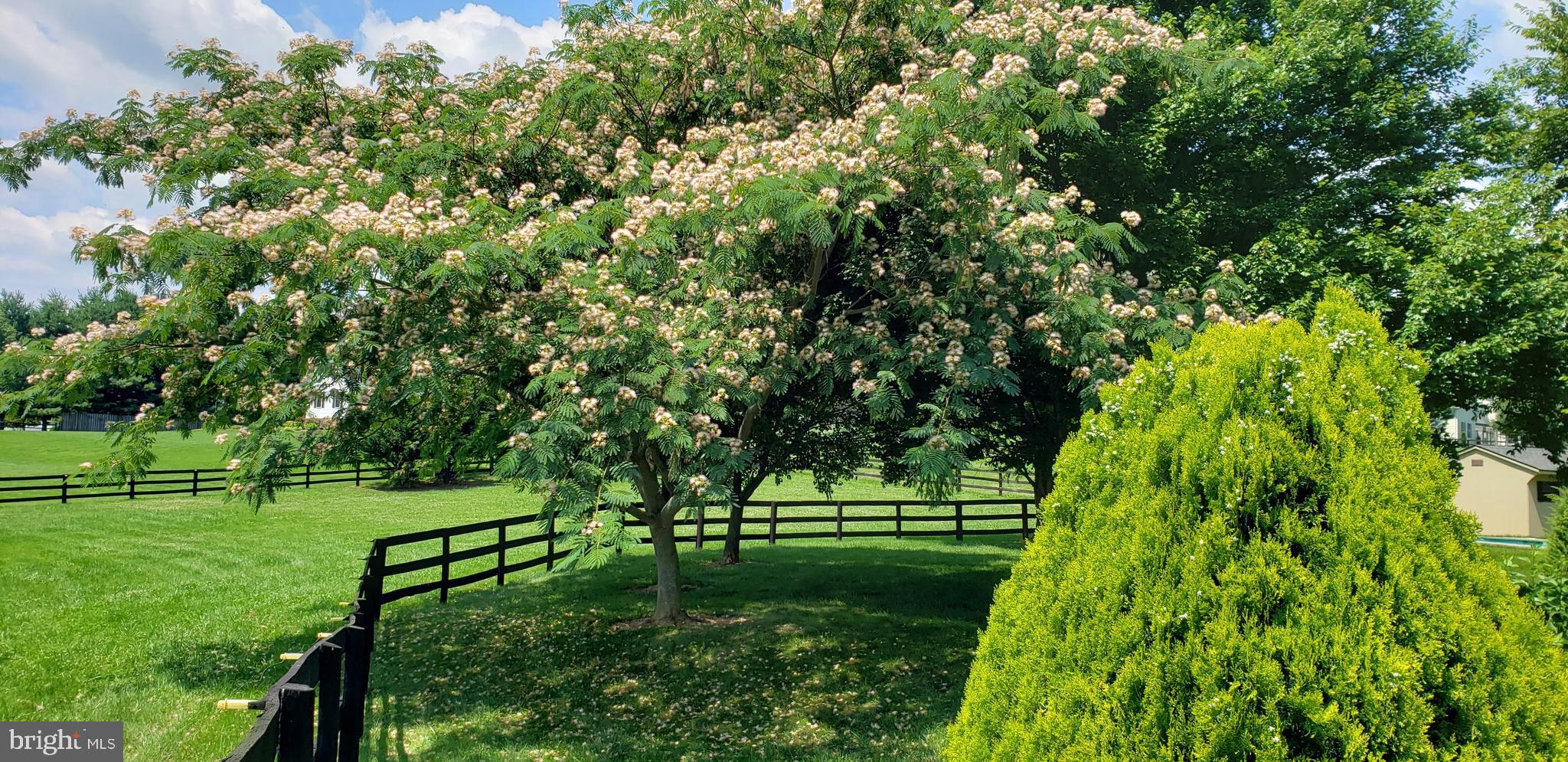 38607 MILLSTONE DRIVE