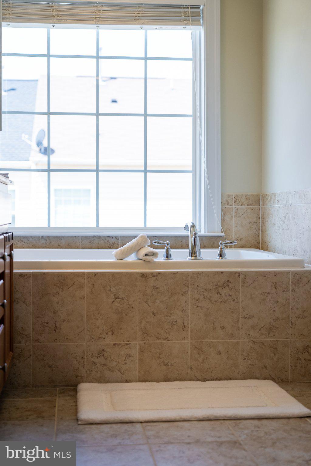 25491 AMBER GATE TERRACE