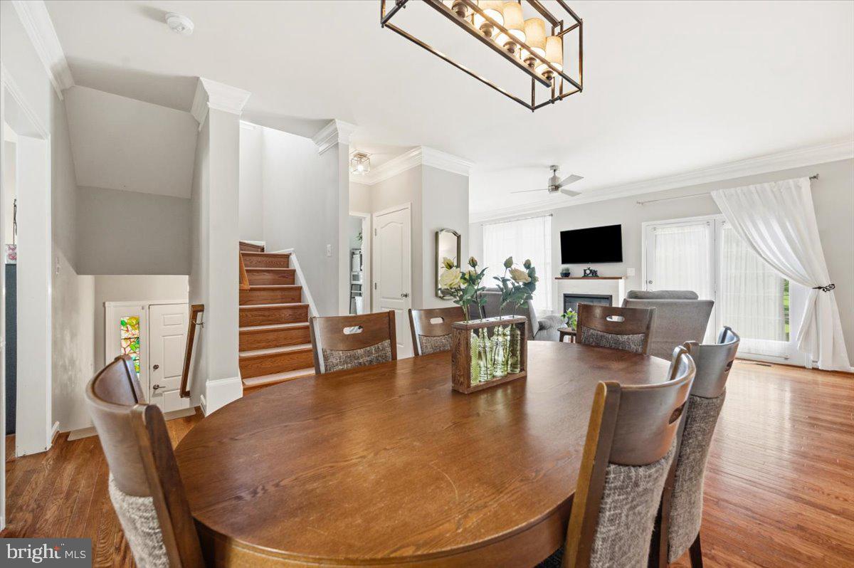 210 ELDER TERRACE