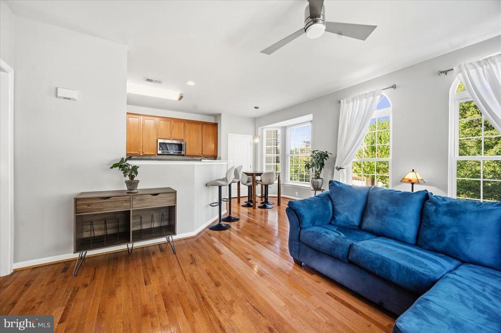 210 ELDER TERRACE