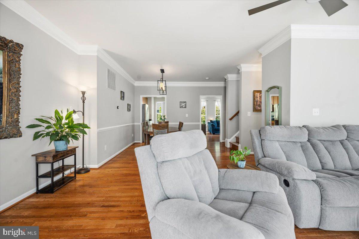 210 ELDER TERRACE