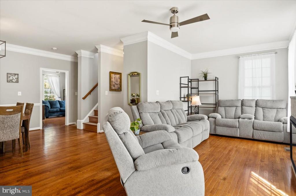 210 ELDER TERRACE