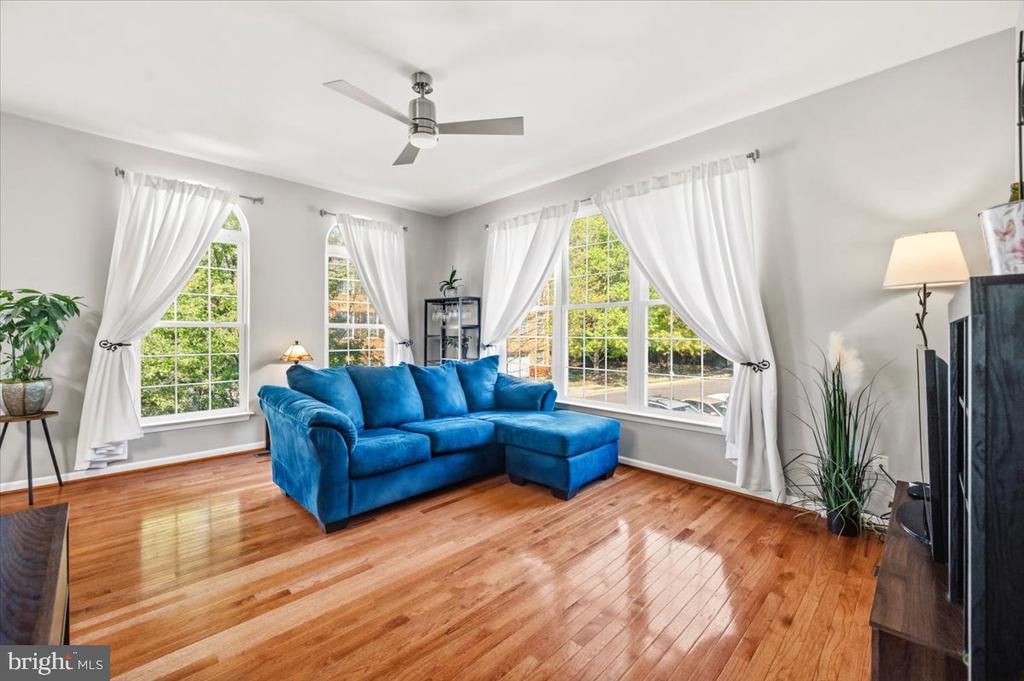 210 ELDER TERRACE