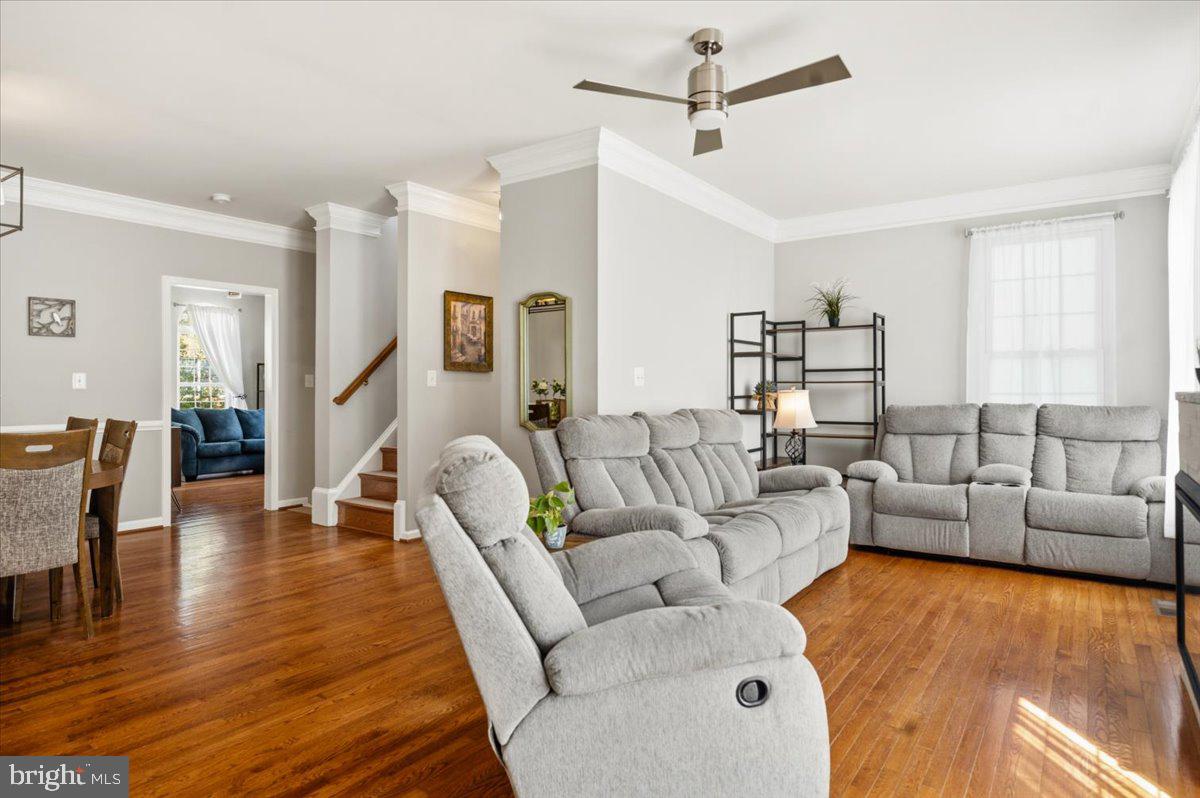210 ELDER TERRACE