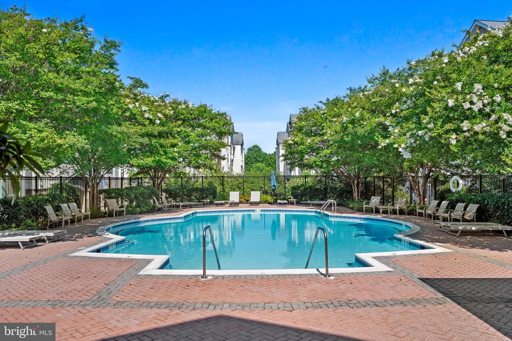 514 SUNSET VIEW Unit: 207