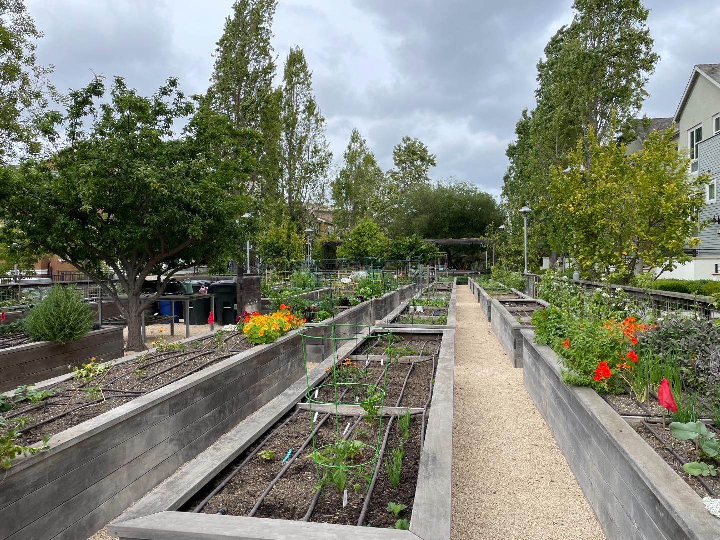 2835 Alvarado Avenue