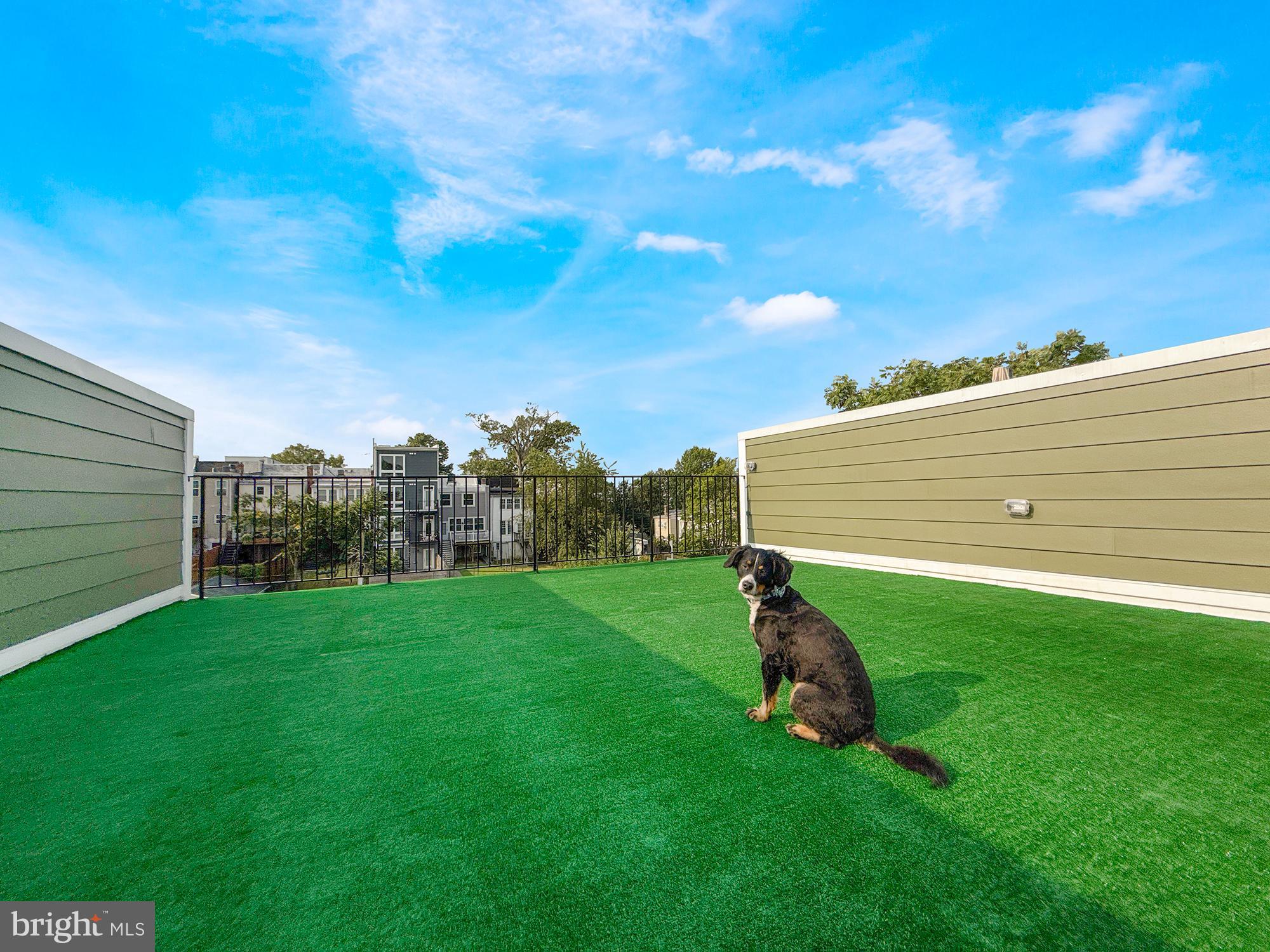 318 Webster St NW #3