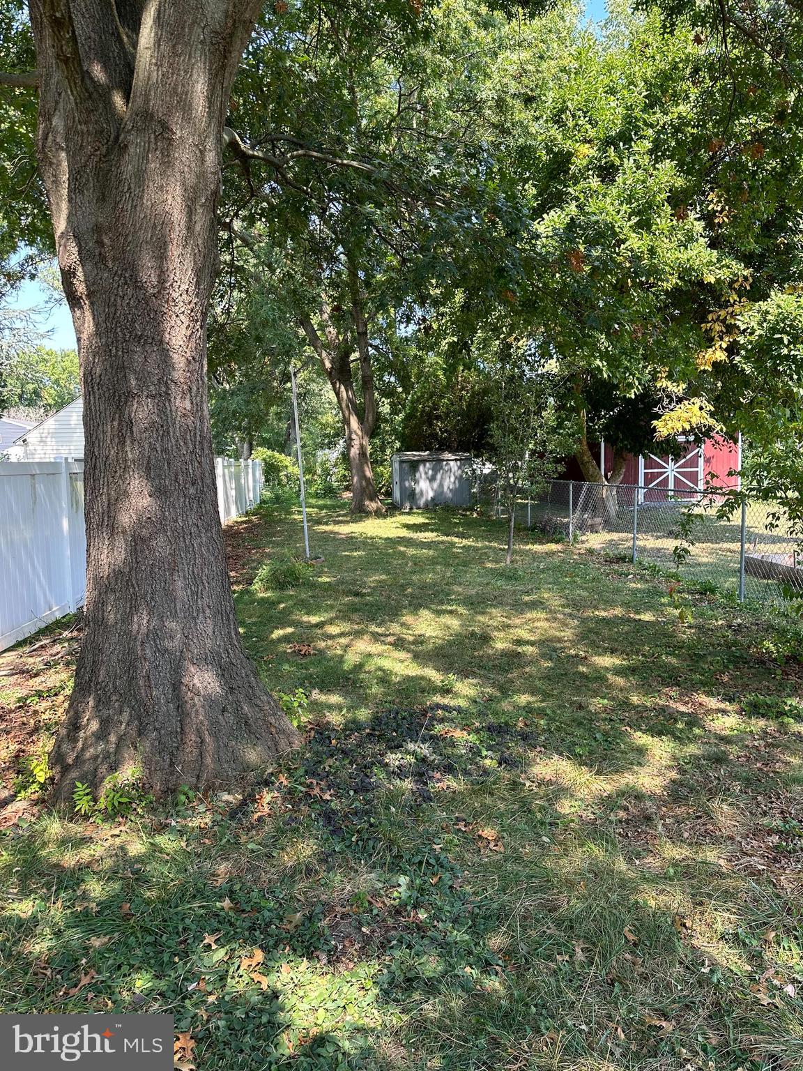 19 JUNIATA STREET