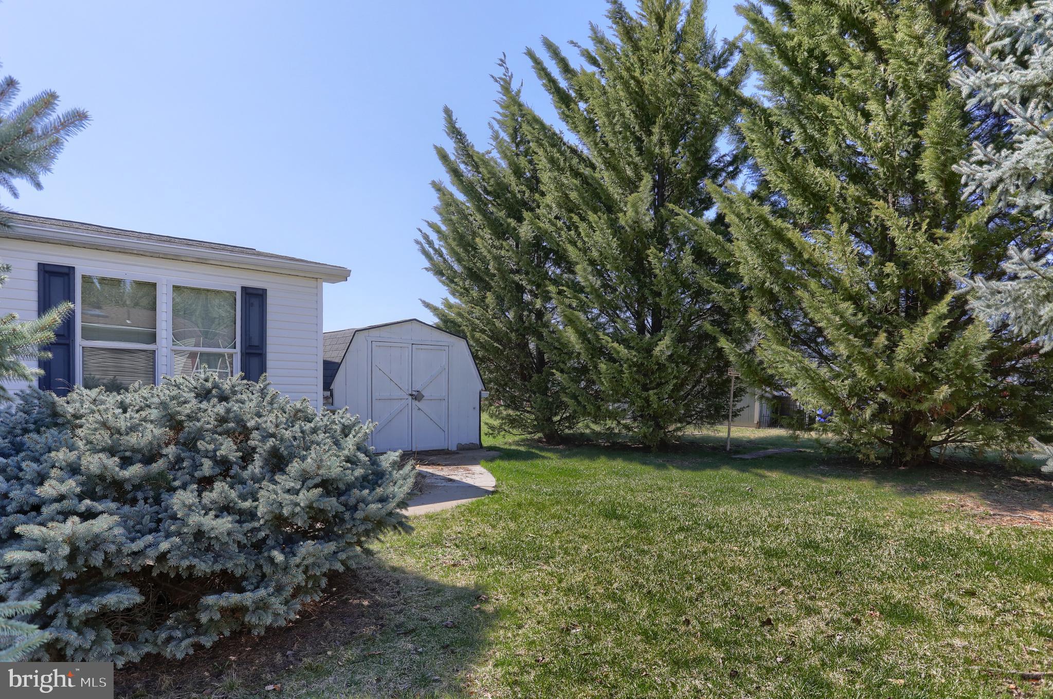 167 JUNIPER STREET