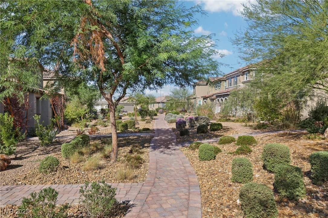 1129 Blissful Plains Avenue