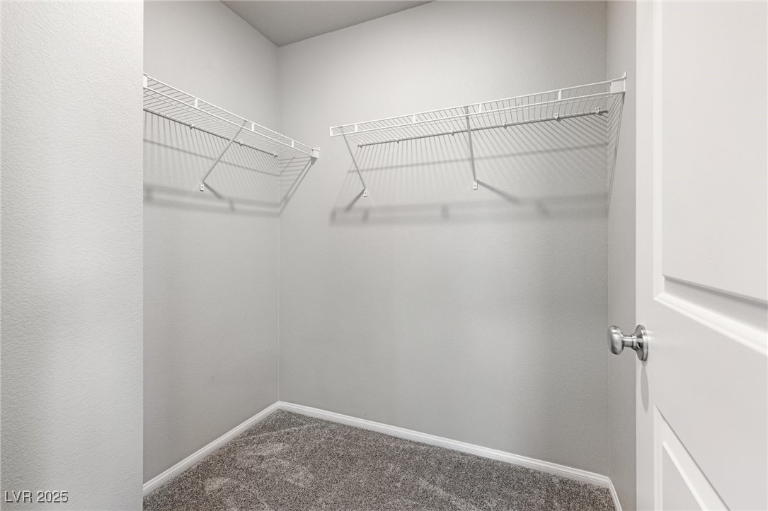 1129 Blissful Plains Avenue