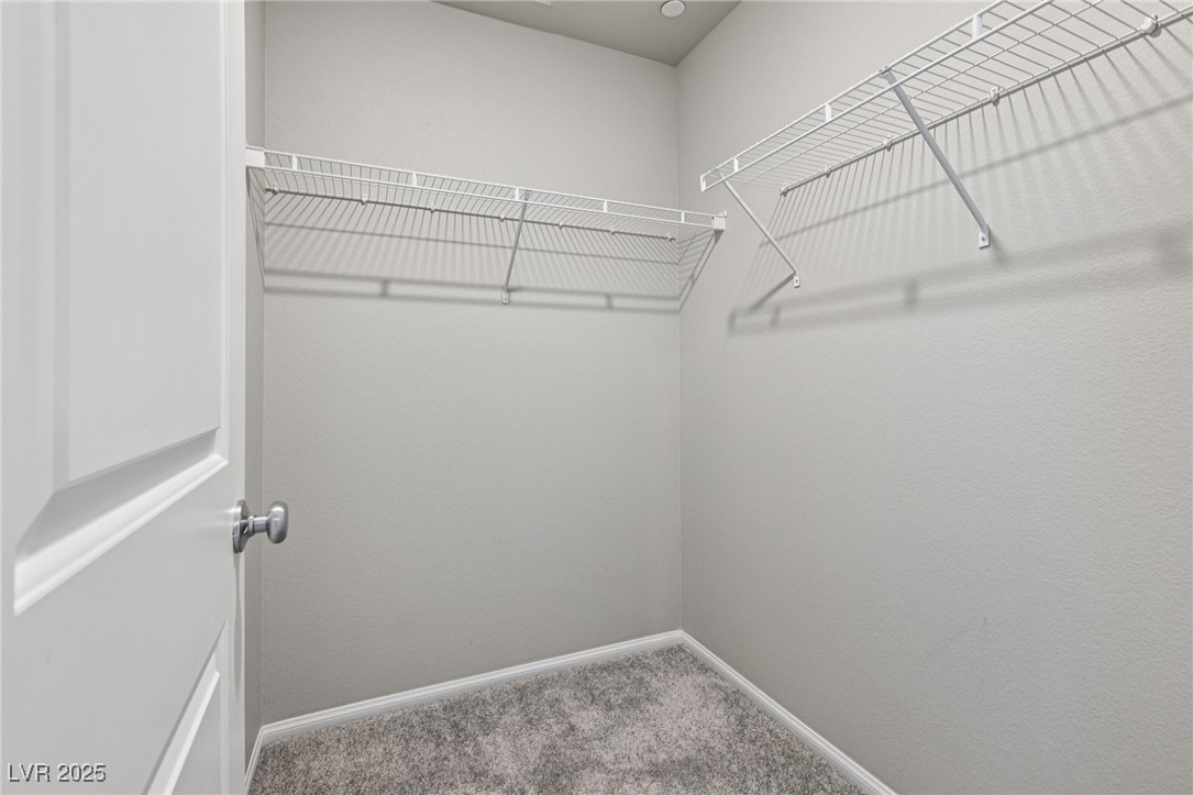 1129 Blissful Plains Avenue