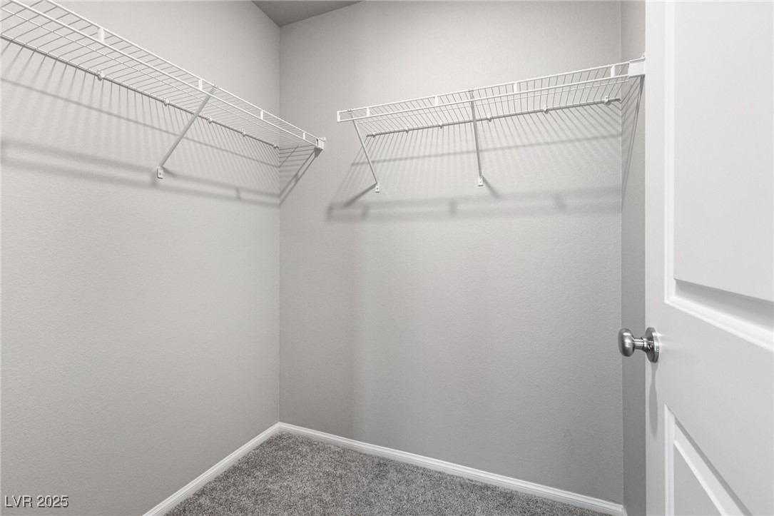 1129 Blissful Plains Avenue