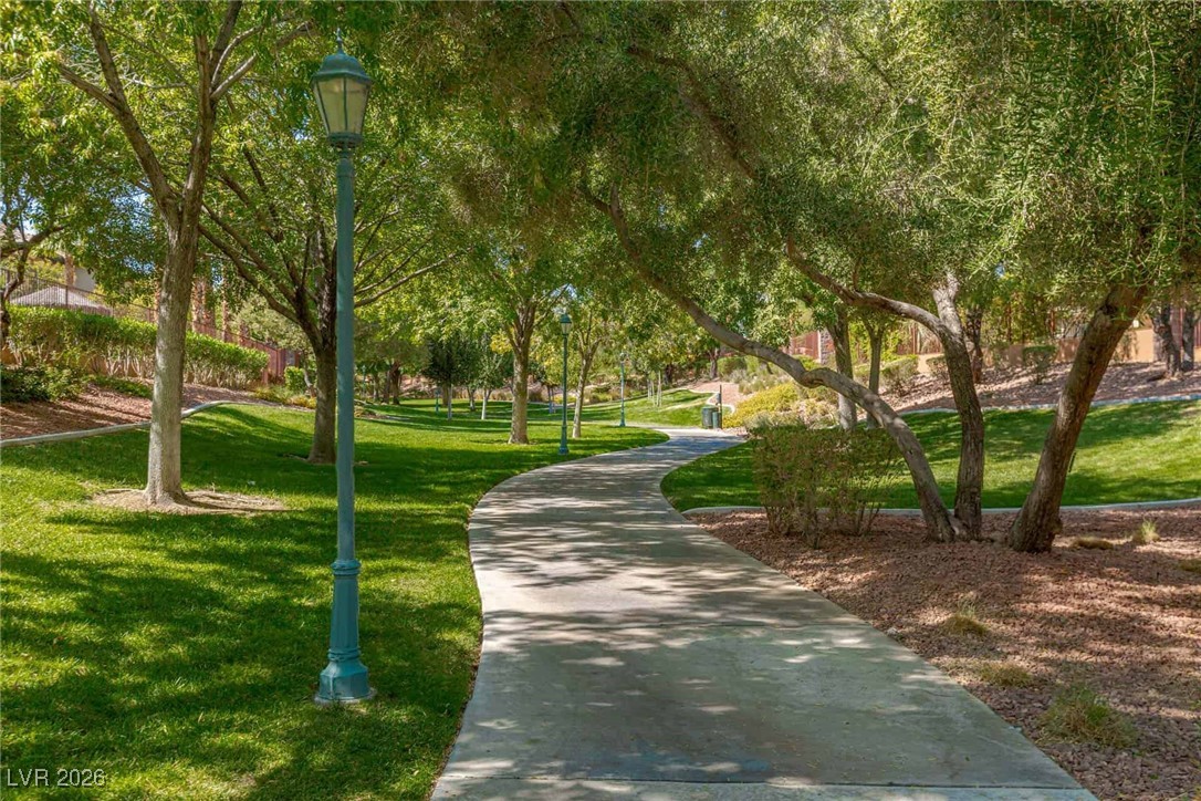 10263 Trailing Dalea Avenue